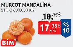 MURCOT MANDALİNA MURCOT MANDALİNA